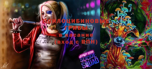 гидропоника Каменка