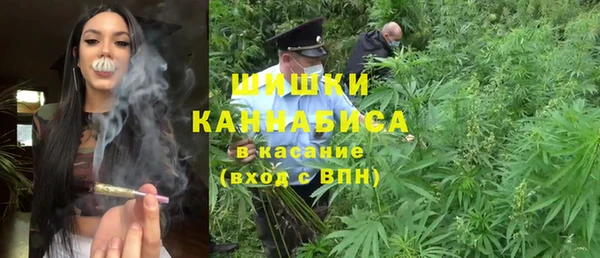 гидропоника Каменка