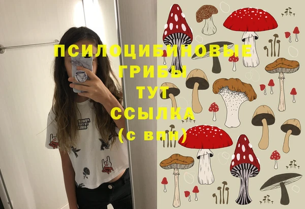 метадон Каменск-Шахтинский