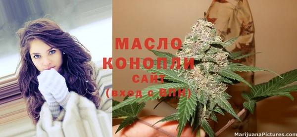 гидропоника Каменка
