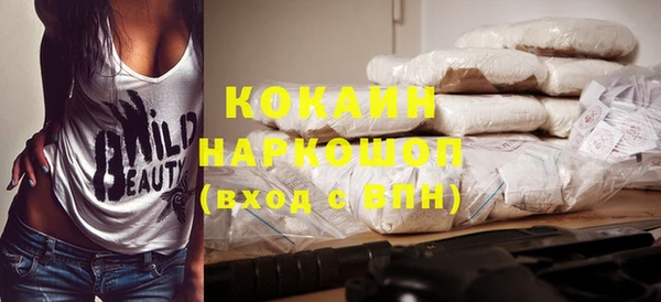 гидропоника Каменка