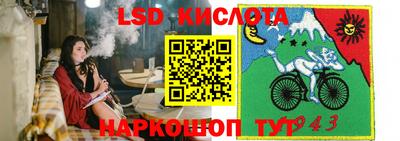 Альфа ПВП Донецк