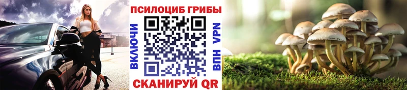 магазин  наркотиков  Соль-Илецк  mega ТОР  Псилоцибиновые грибы Magic Shrooms 