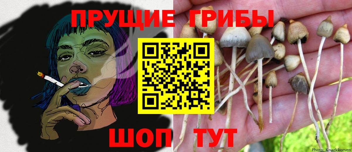 Галлюциногенные грибы мухоморы Соль-Илецк