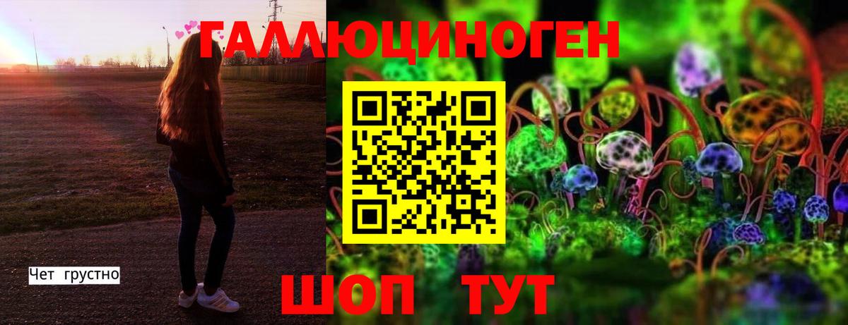 Псилоцибиновые грибы Psilocybe  Псилоцибиновые грибы Cubensis  цена   Соль-Илецк  Вход с VPN 