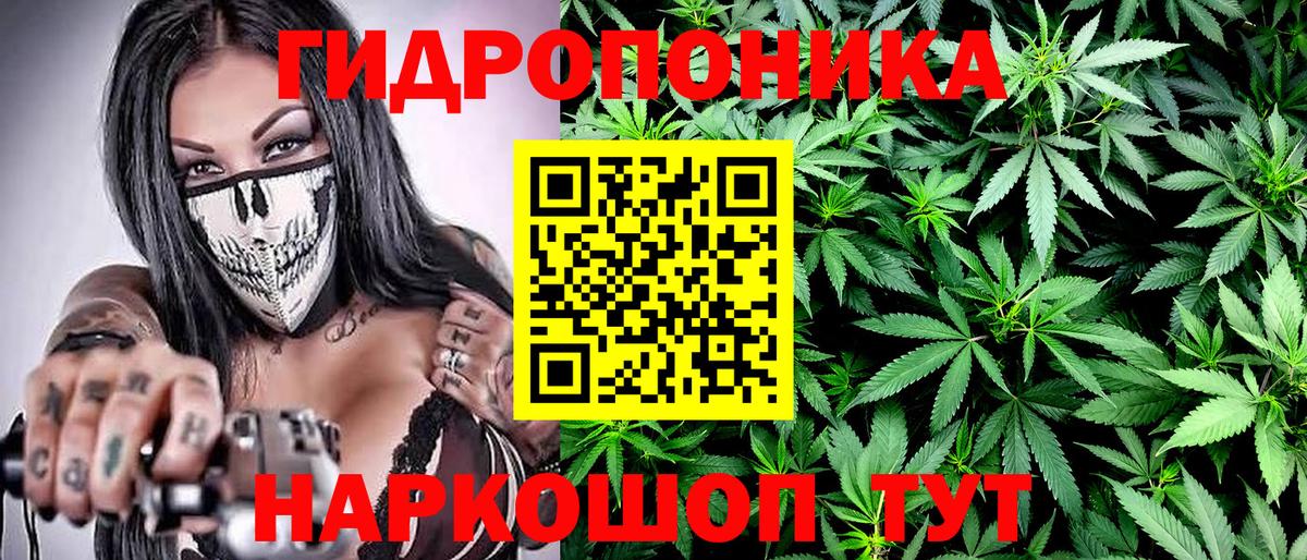 Марихуана SATIVA & INDICA  Бошки Шишки планчик  Шишки марихуана White Widow  Соль-Илецк  Вход с VPN 